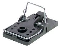 The Best Rat Trap Image
